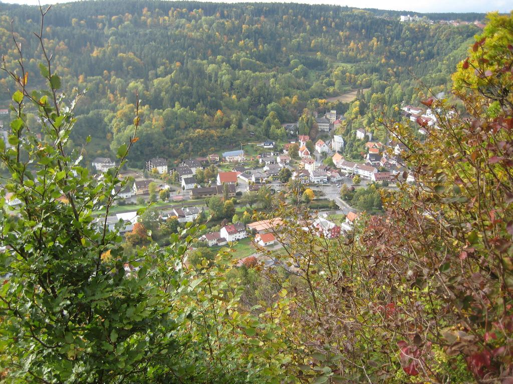 Gaestehaus Krone Oberndorf am Neckar Стая снимка